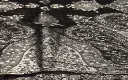 Black Pashmina.webp
