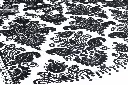 Black & White-1.webp